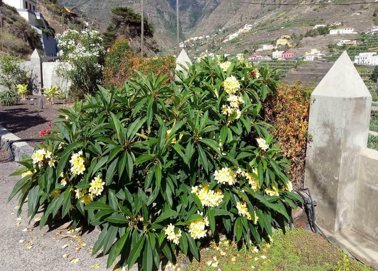 Gomera Garden. Vista Mar Altozano Hermigua Exterior photo